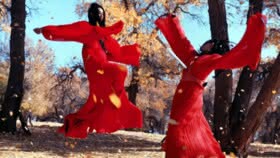 Martial Arts Choreographi in Rot aus Hero
