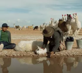 Filmszene Utama. Ein Leben in Wrde